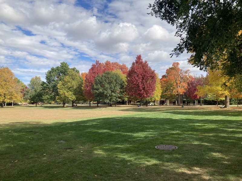 Bald Spot Fall Colors