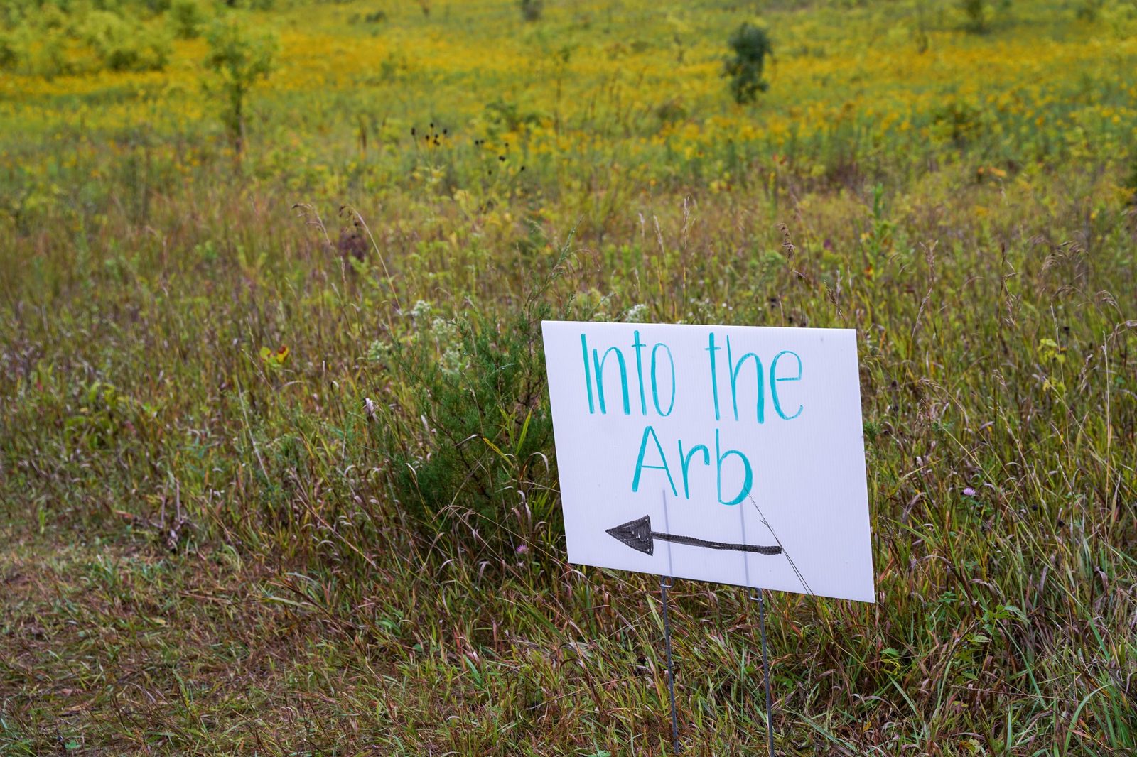 A sign that says 
