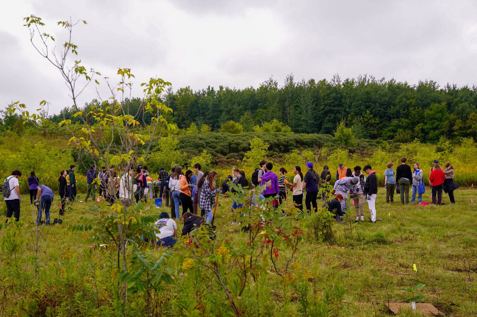 Students plant trees on empty fields. In the background, there is prairie land and trees.