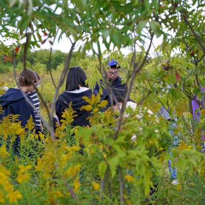 Students plant trees.