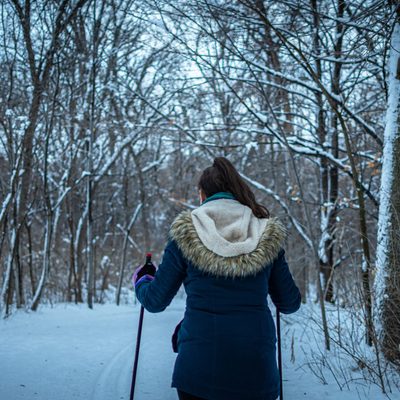 Cross country skiing in a forest