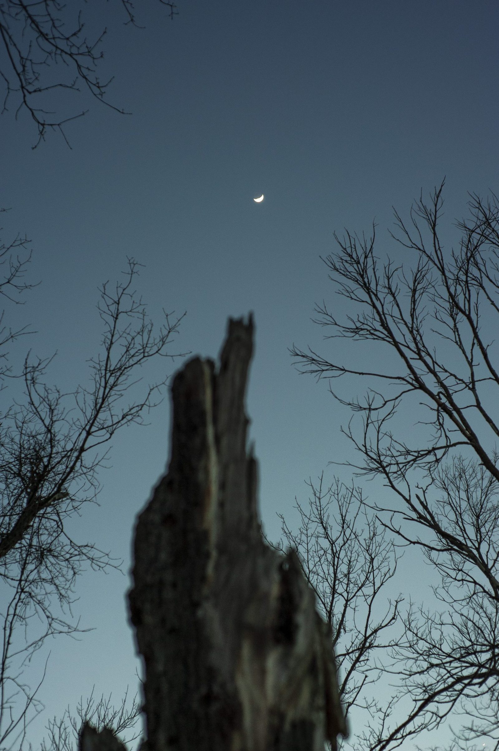 A small crescent moon in the night sky.
