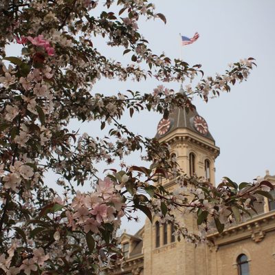 Where flowers bloom, so does hope.