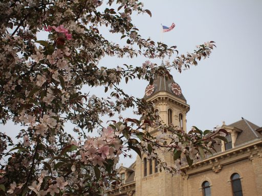 Where flowers bloom, so does hope.