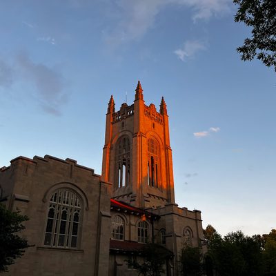Glowing in the evening light