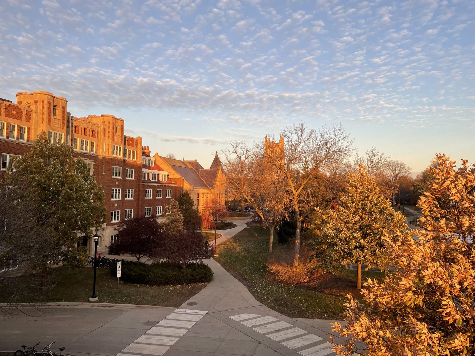 Gilded Sunset from Musser Hall