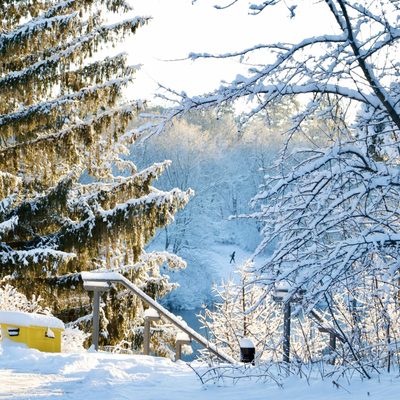 I took this picture on a sunny morning after a snowstorm the previous night.