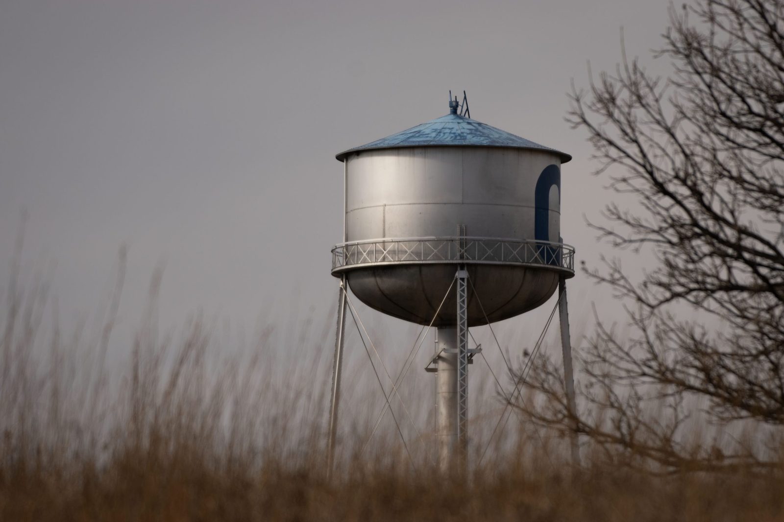 Let me just say, if it weren't for our water tower, I would definitely be lost wandering the upper arb and starting a new life living in the woods!