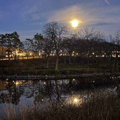 Under the moon