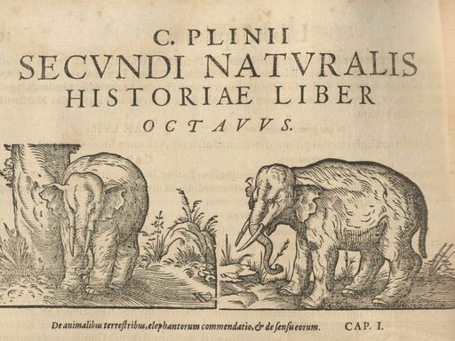 Historia mundi naturalis, Pliny the Elder