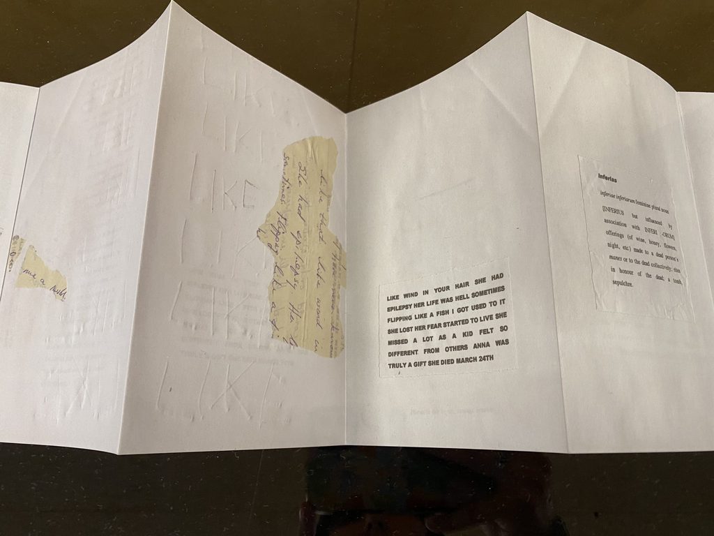 Collections Spotlight: Nox by Anne Carson – Robert C. Larson '56