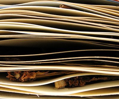 A photo taken from the side of a stack of paper with natural materials layered in between.