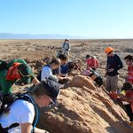 Structural Geology Trip to Painted Canyon - February 5-10, 2015