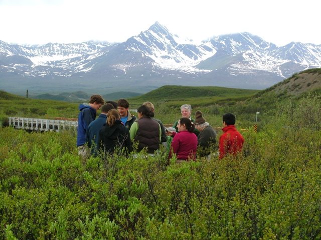Alaska High Latitude Periglacial Geology Field Trip