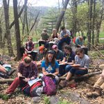 Large group of students taking notes in forest clearing