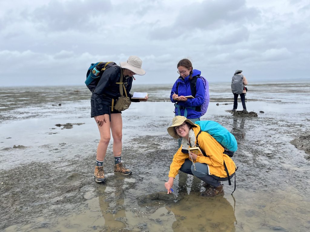 A team of students making observations on a beach