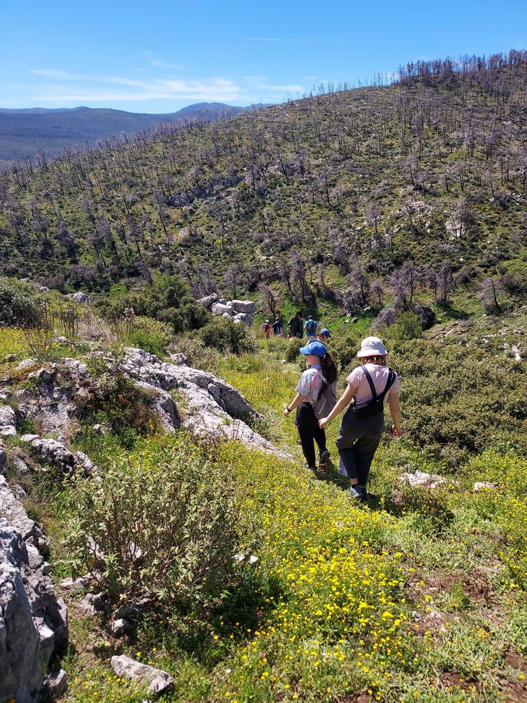 Carleton students hiking back down a mountain
