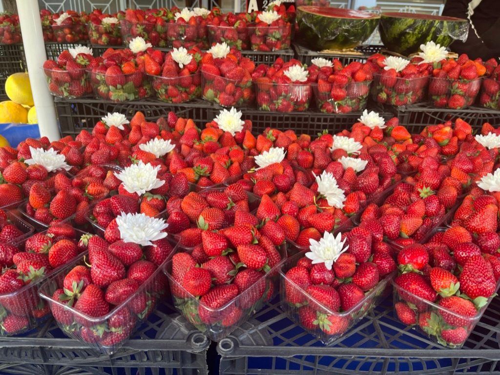 Friday flowers with an Athenian market twist!