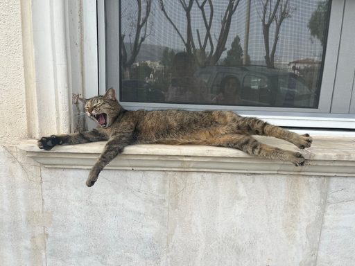 BIG STRETCH