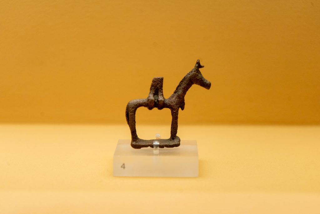 Horse with half of its rider