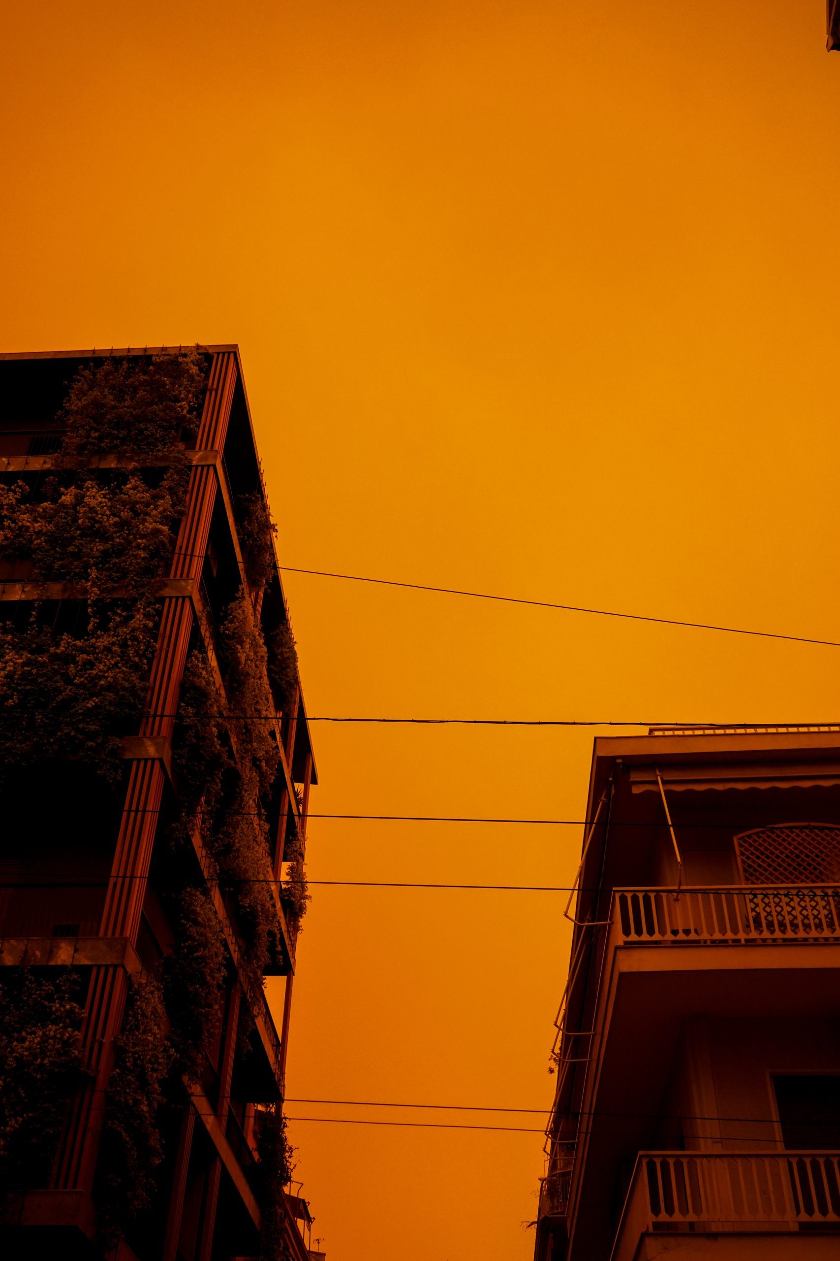 Dune in athens