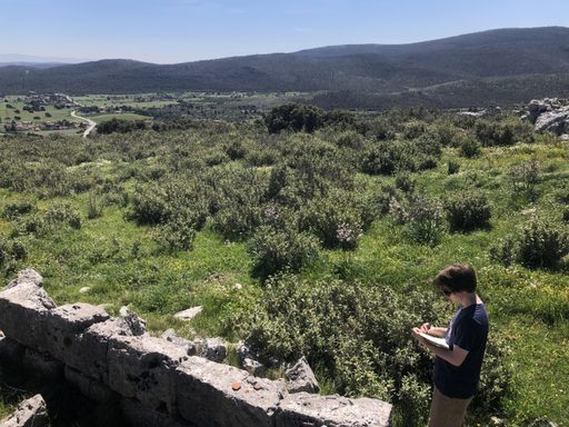 henry and a nice view