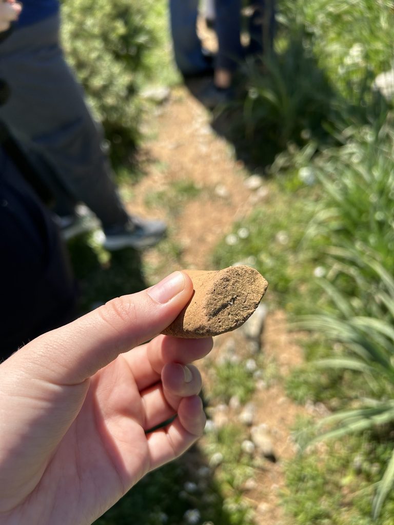 red pottery handle sherd