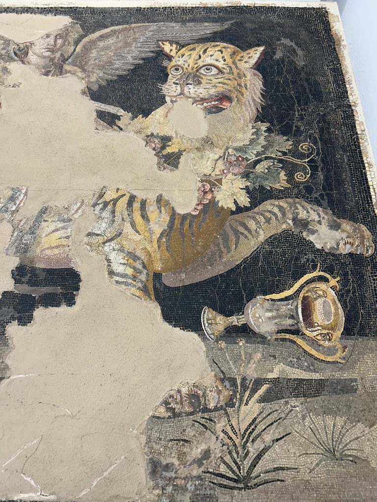 Mosaic from Delos at the Mykonos Archaeological Museum