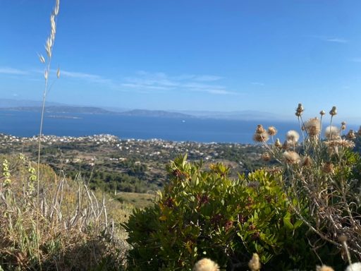 Island of Aegina