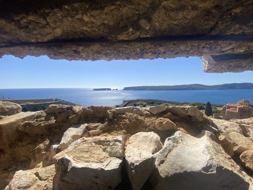 view from a watch tower