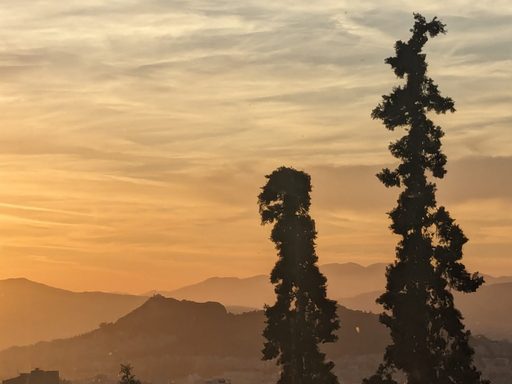 sunset