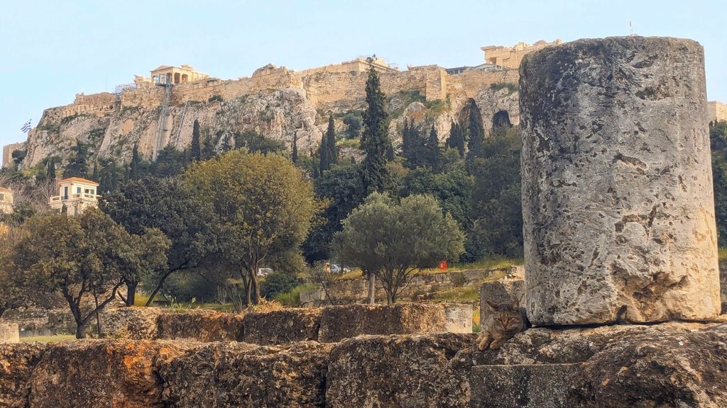 Cat in the Athenian Agora