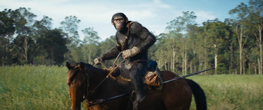 Monkey on a horse