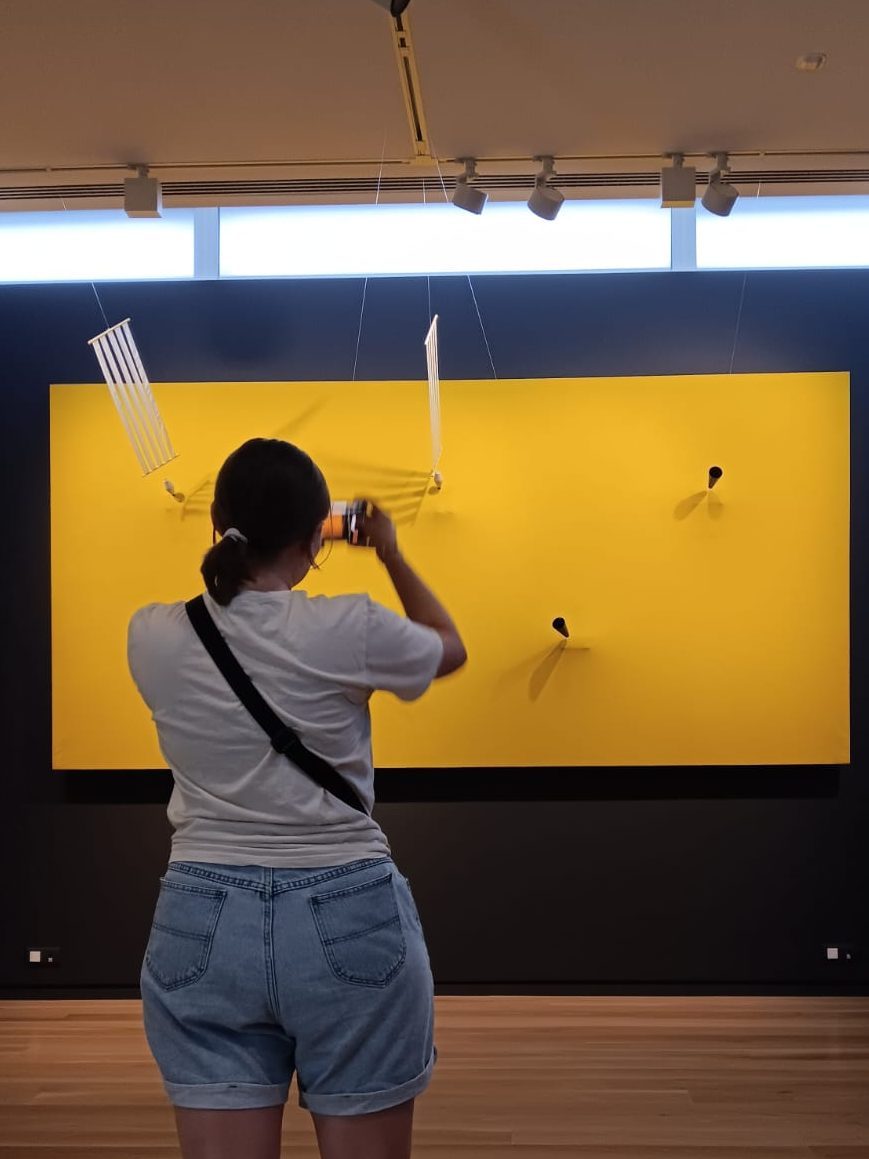 Stela taking a picture of a modern piece of art.