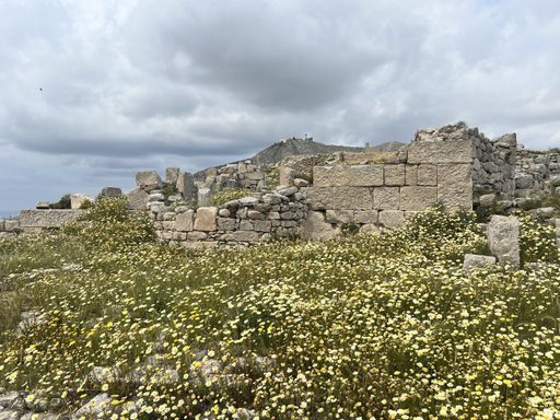 The ruins of a temple, with green grass and yellow flowers in front and a mountain with a radio tower behind.