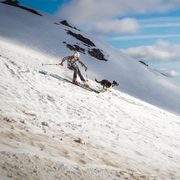 Annie Boucher ’11 skiing in Juneau, Alaska