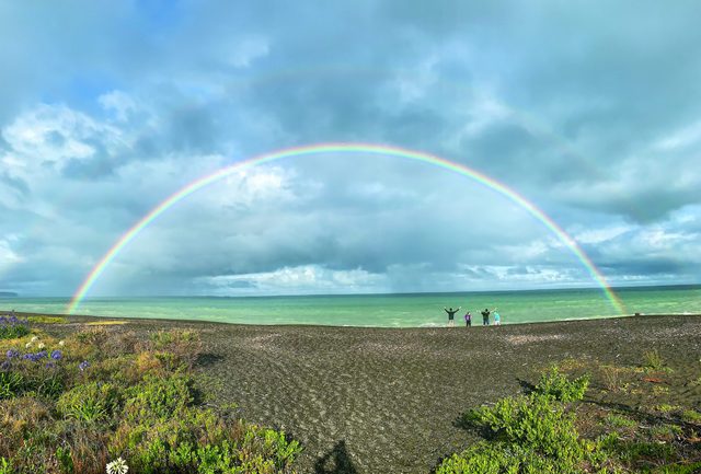 “Rainbow.” Napier, New Zealand.