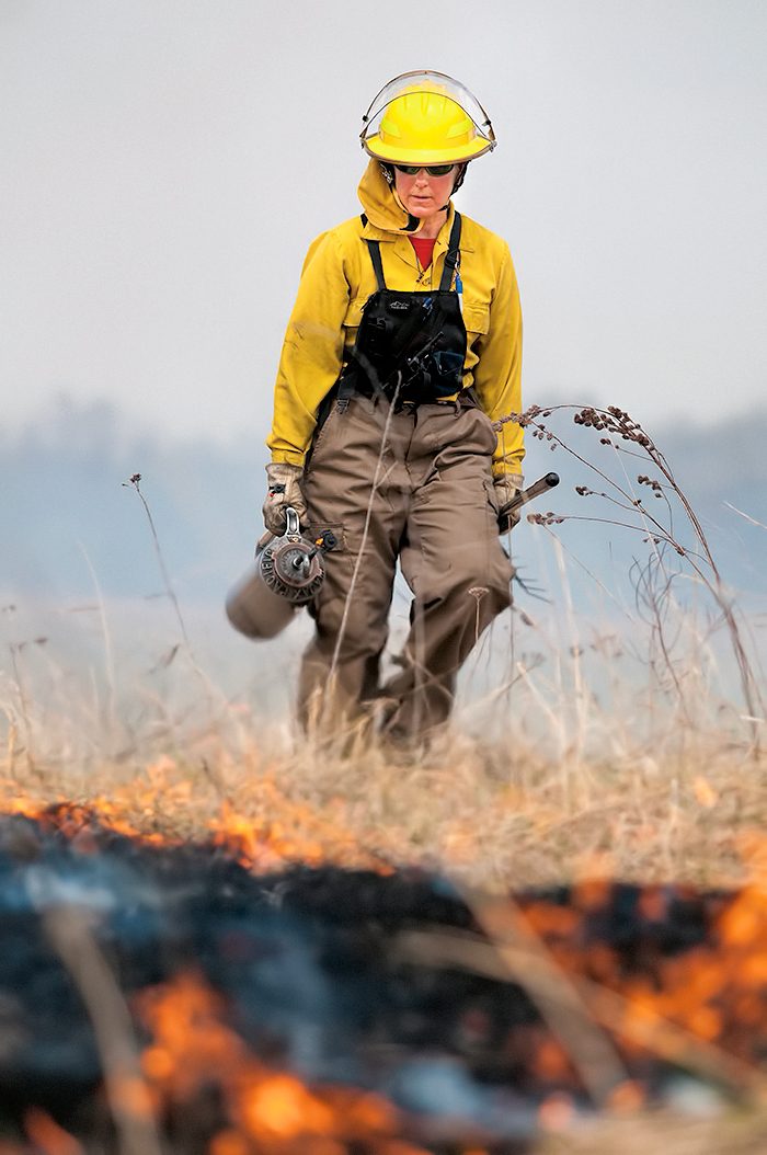 Carleton Arb staff and students use prescribed burns to manage McKnight Prairie.