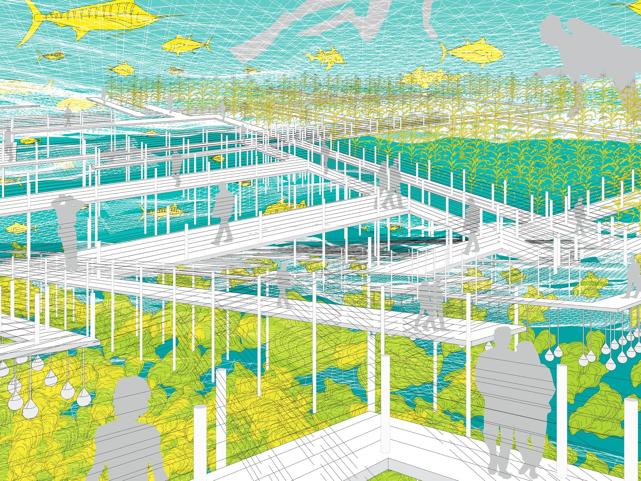 Companion Culture Series (Fall 2020).