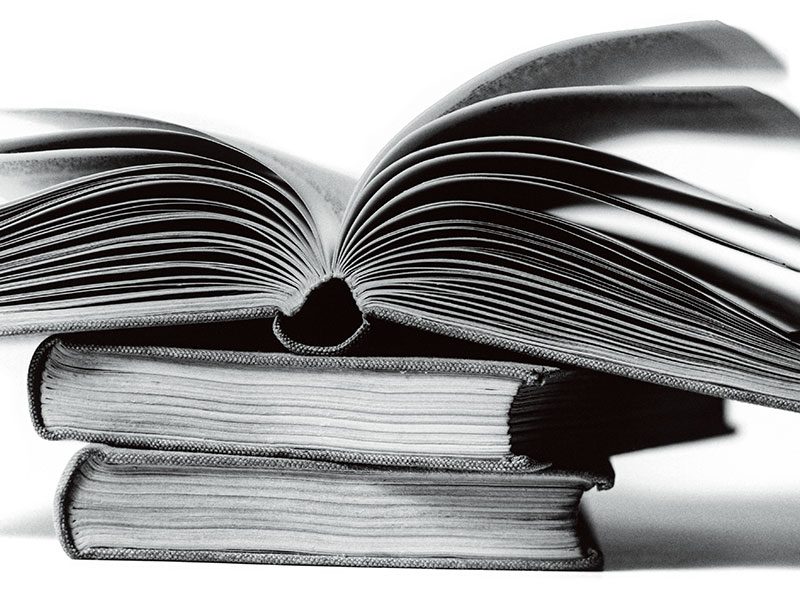 A Very Short Book Excerpt – Voice – Carleton College