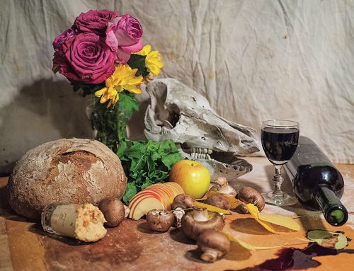 still life at Farm House