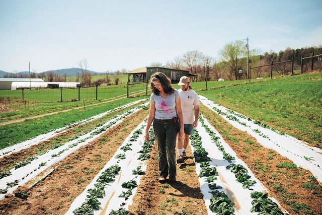 Waterpenny farm
