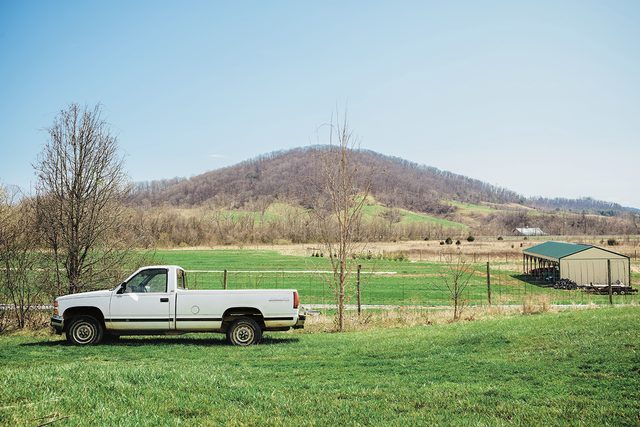 Waterpenny farm