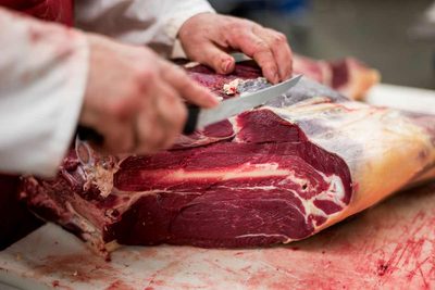 Bison meat