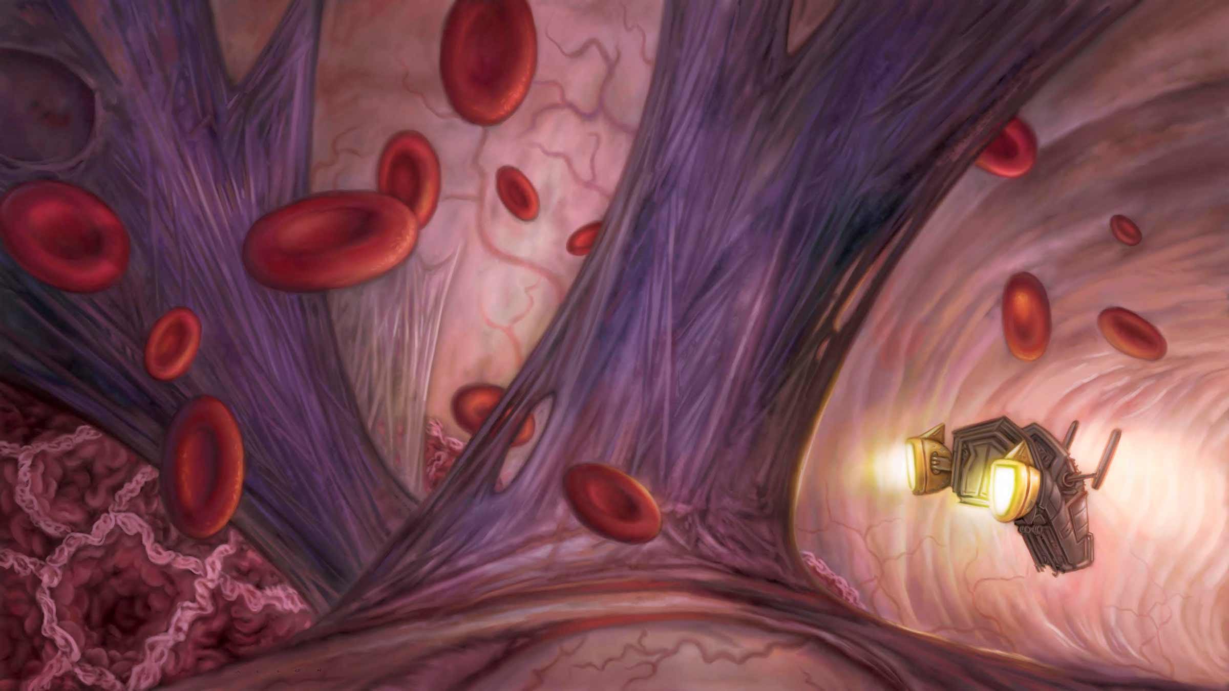 Journey through the circulatory system