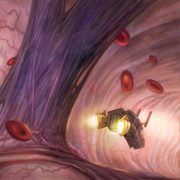 Journey through the circulatory system