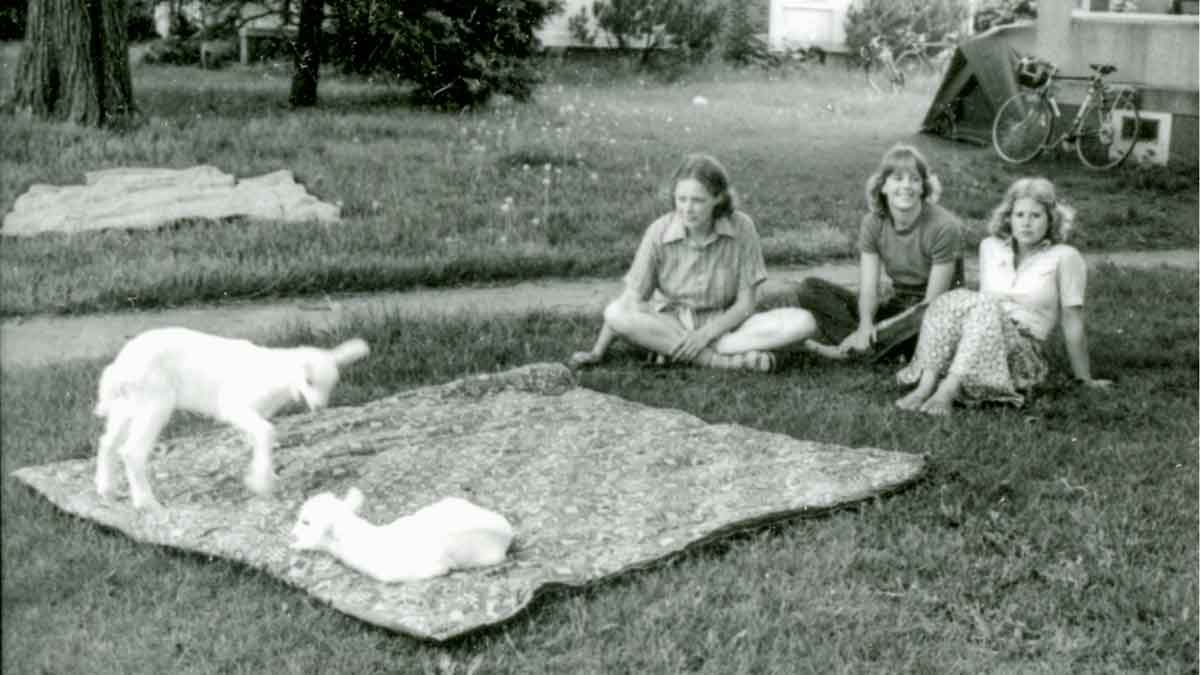 Students with lambs, May 1978