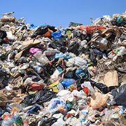 What Do Carls Send to the Landfill?
