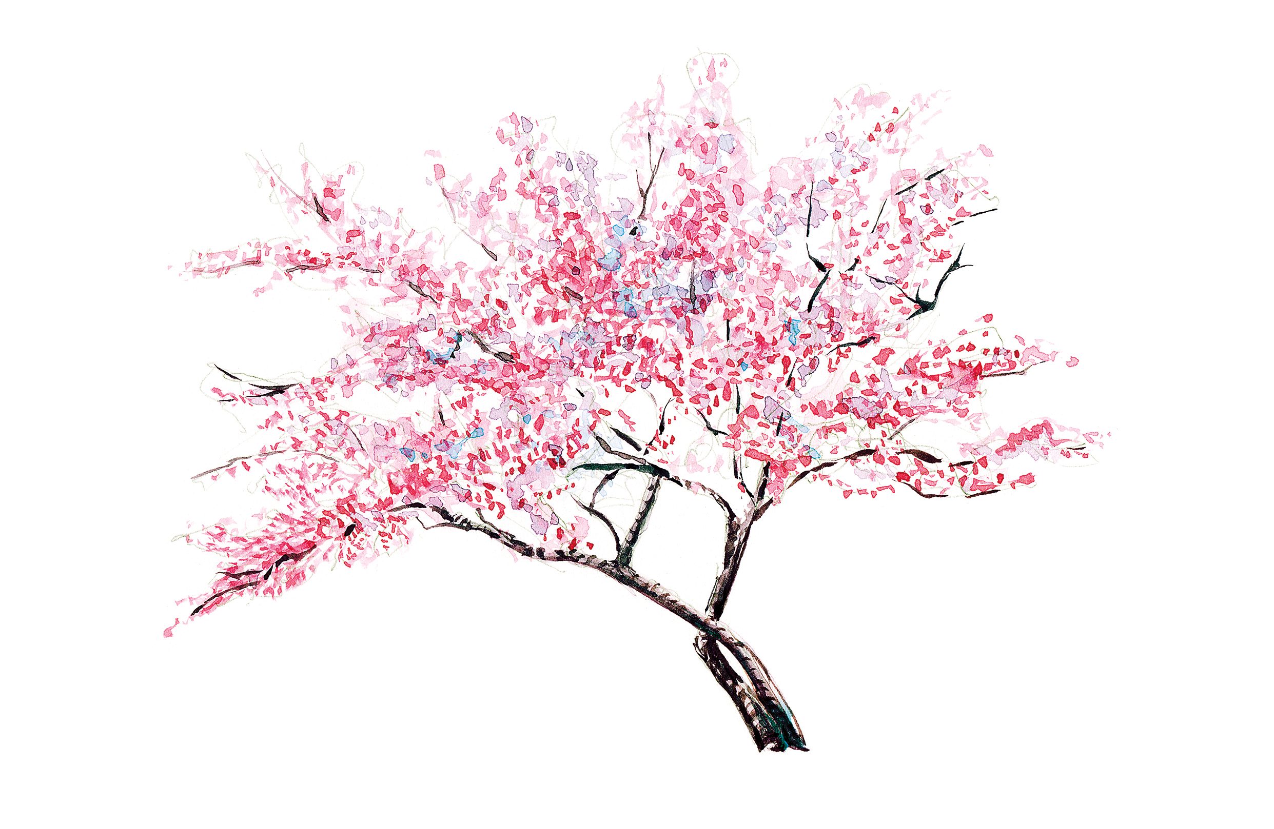 Though I love Japanese temple and landscape gardens, I