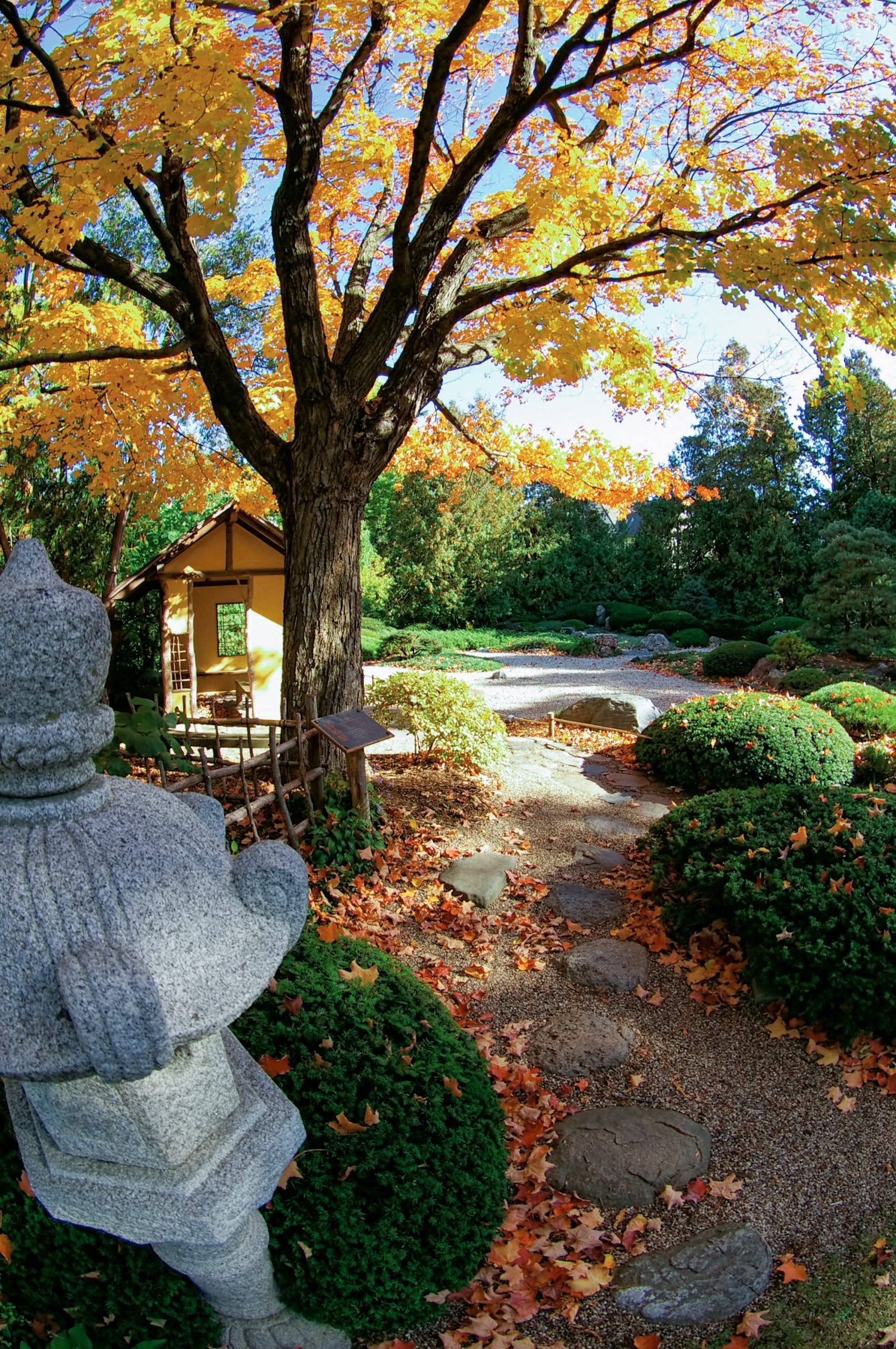 Field Guide to Jōryō-en: The Garden of Quiet Listening – Voice – Carleton  College